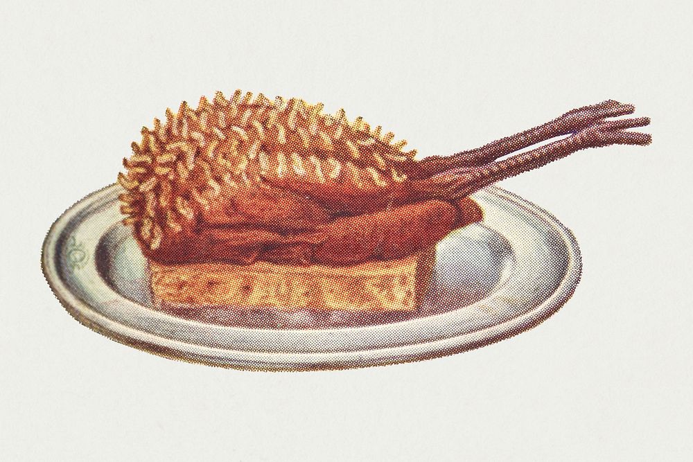 Vintage larded guinea fowl dish illustration