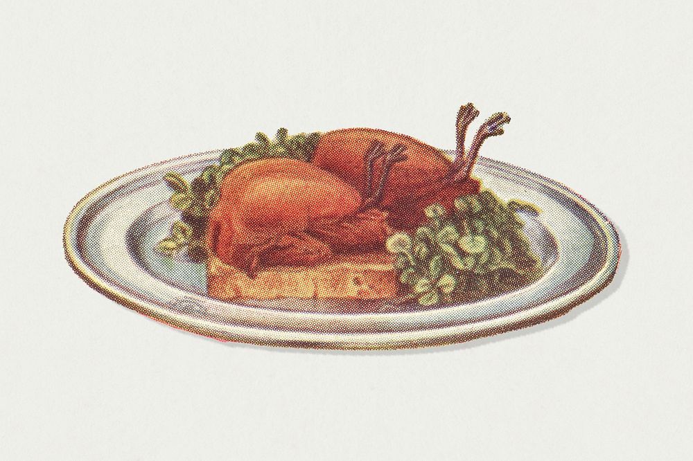 Vintage roast pigeons dish illustration