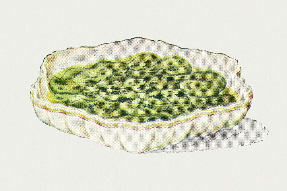 Vintage hand drawn cucumber salad design element