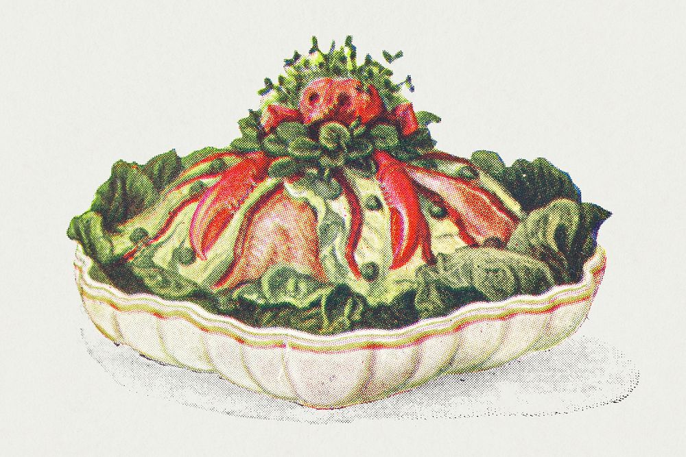 Vintage hand drawn lobster salad illustration