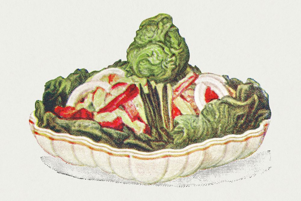 Vintage hand drawn salad dumas illustration