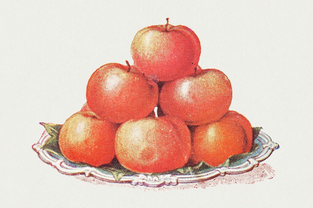 Vintage hand drawn apples illustrations