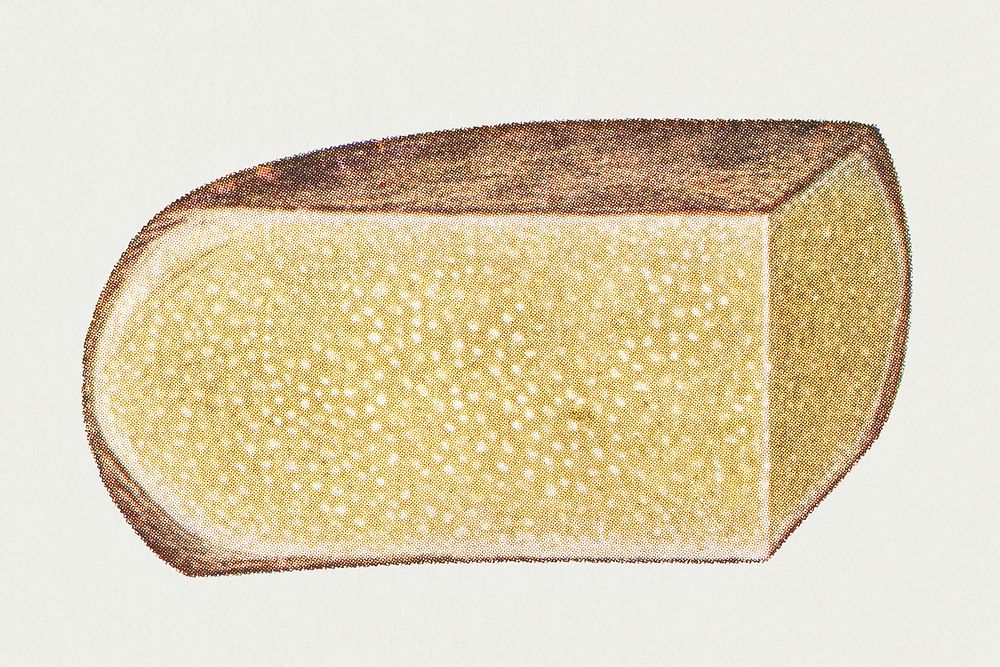 Vintage hand drawn parmesan cheese illustration