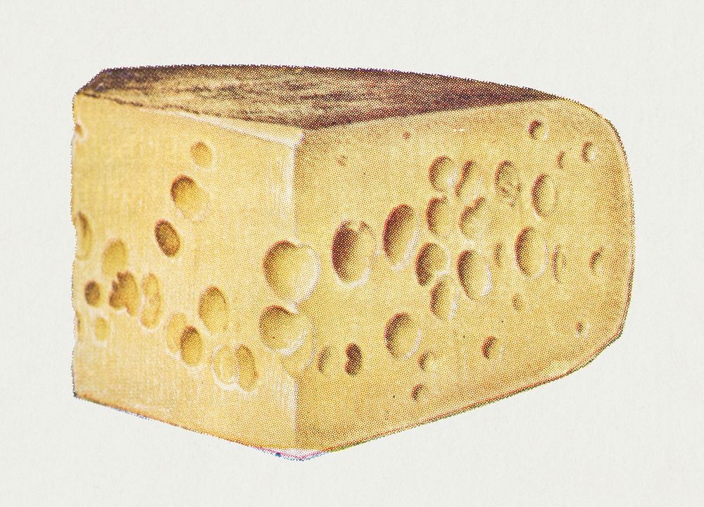 Vintage hand drawn gruy&egrave;re cheese illustration