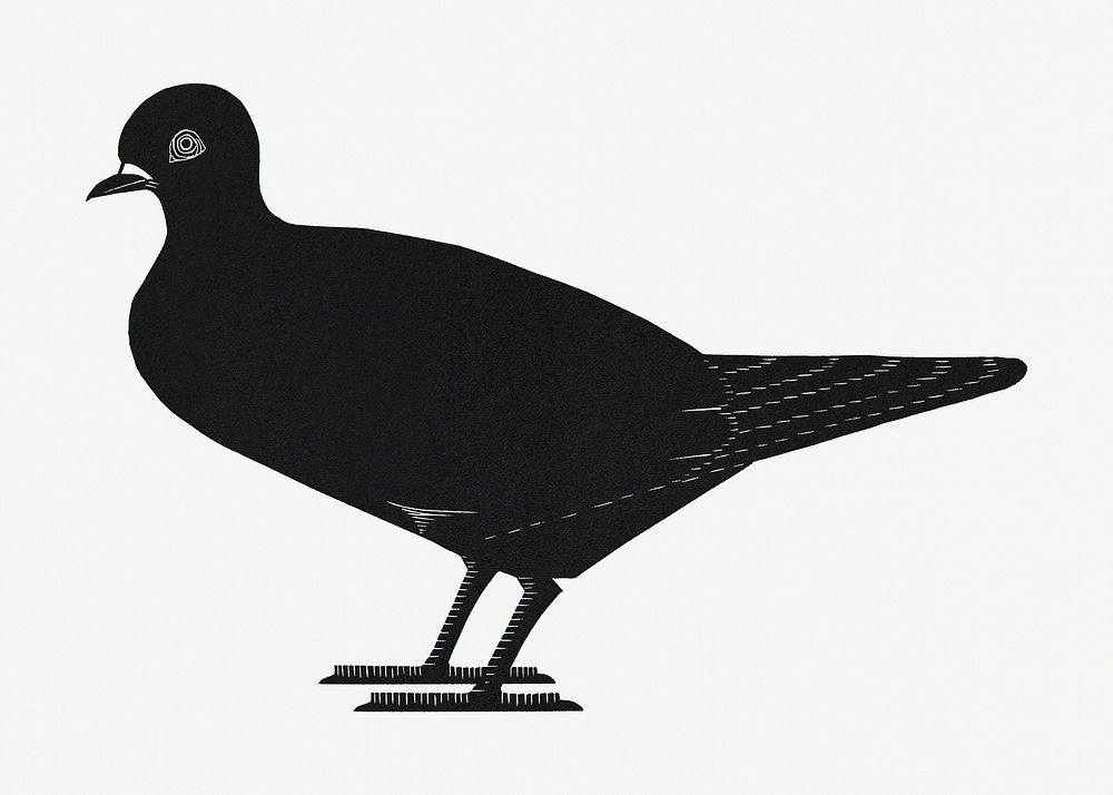 Vintage pigeon psd animal art print, remix from artworks by Samuel Jessurun de Mesquita