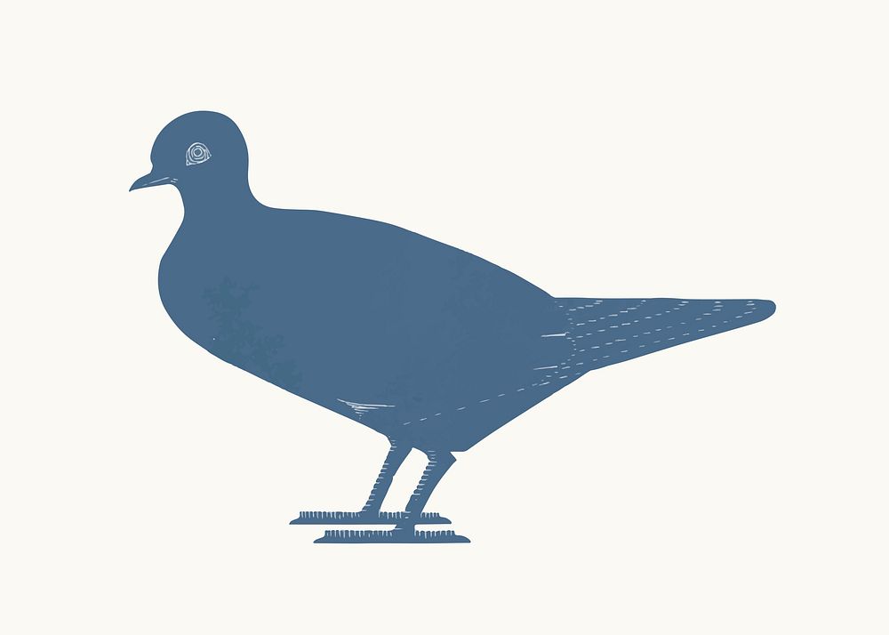 Vintage pigeon animal art print vector, remix from artworks by Samuel Jessurun de Mesquita