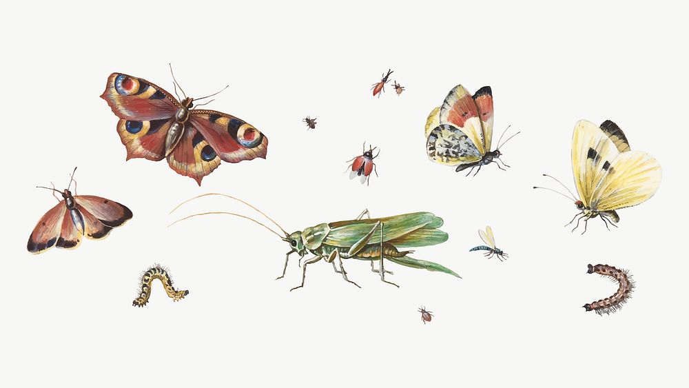Insects, butterflies, grasshopper vector set, remixed from artworks by Jan van Kessel