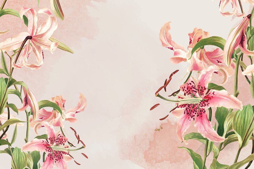 Vintage pink lilies background, remix from artworks by L. Prang & Co.