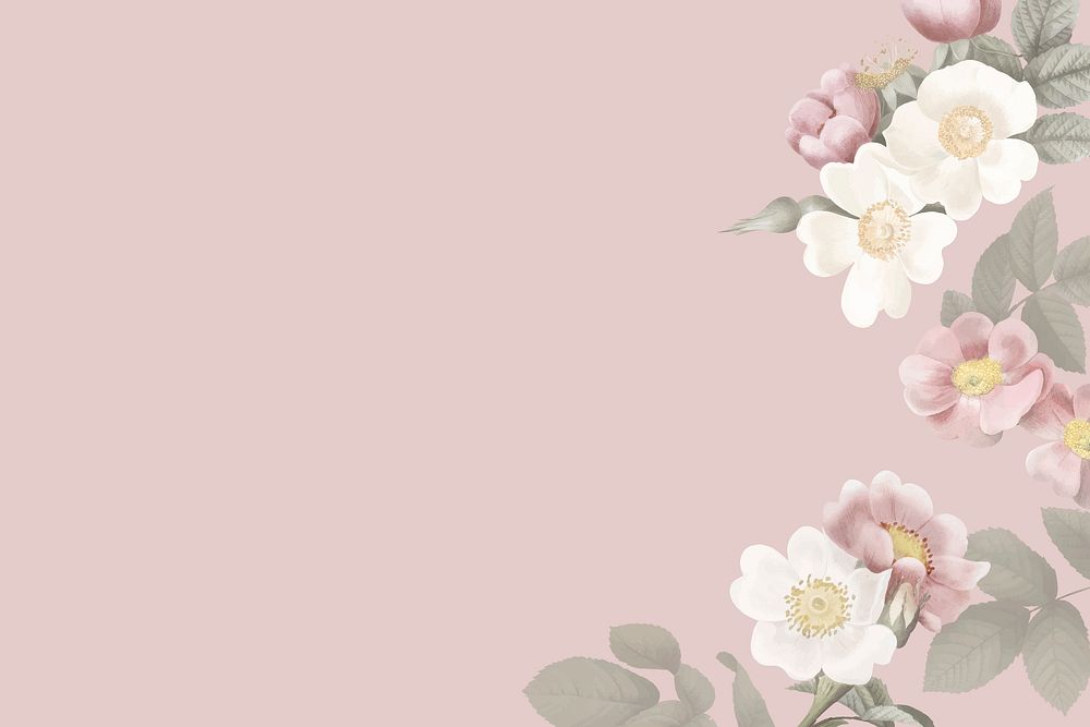 Elegant floral frame design vector