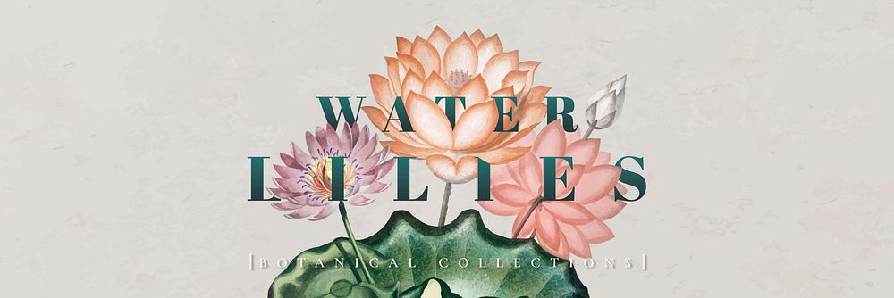 Colorful botanical water lilies banner vector