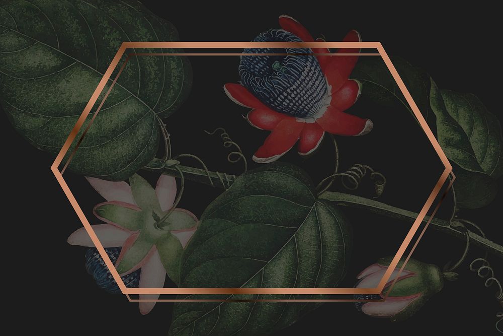 The winged passion flower hexagon frame vector