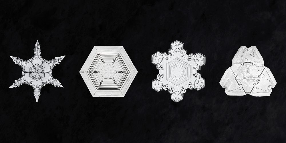 Festive winter snowflake psd macro photography set, remix of art by Wilson Bentley