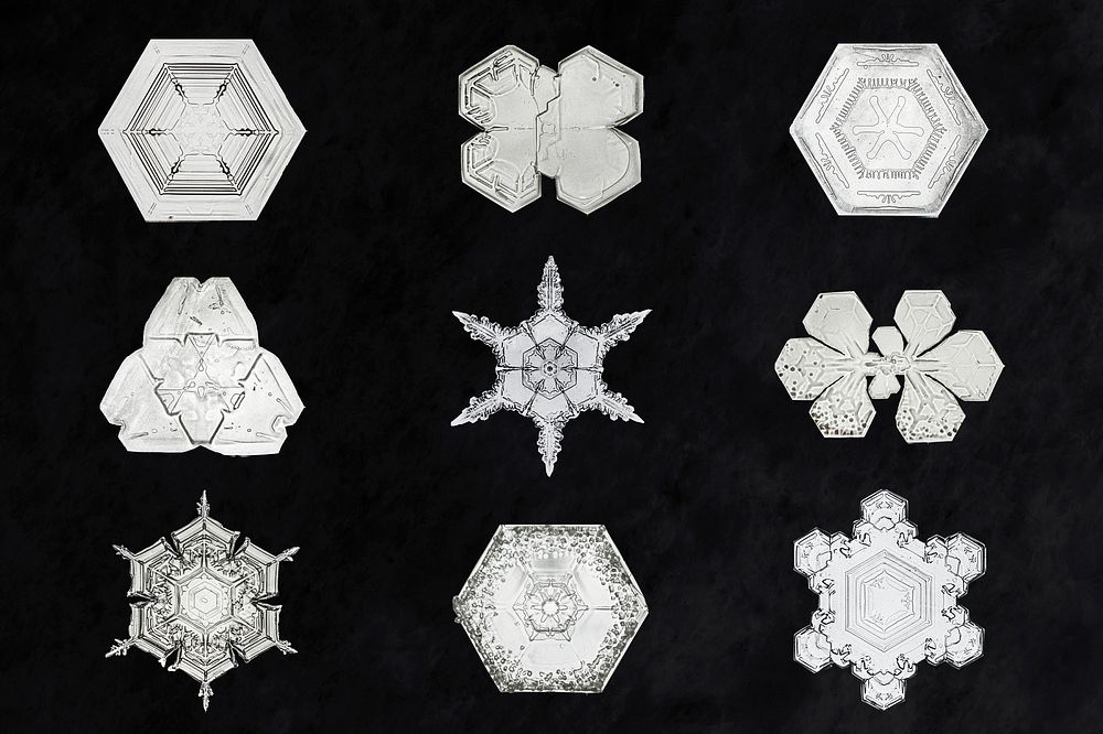 Icy snowflake psd macro photography set, remix of art by Wilson Bentley