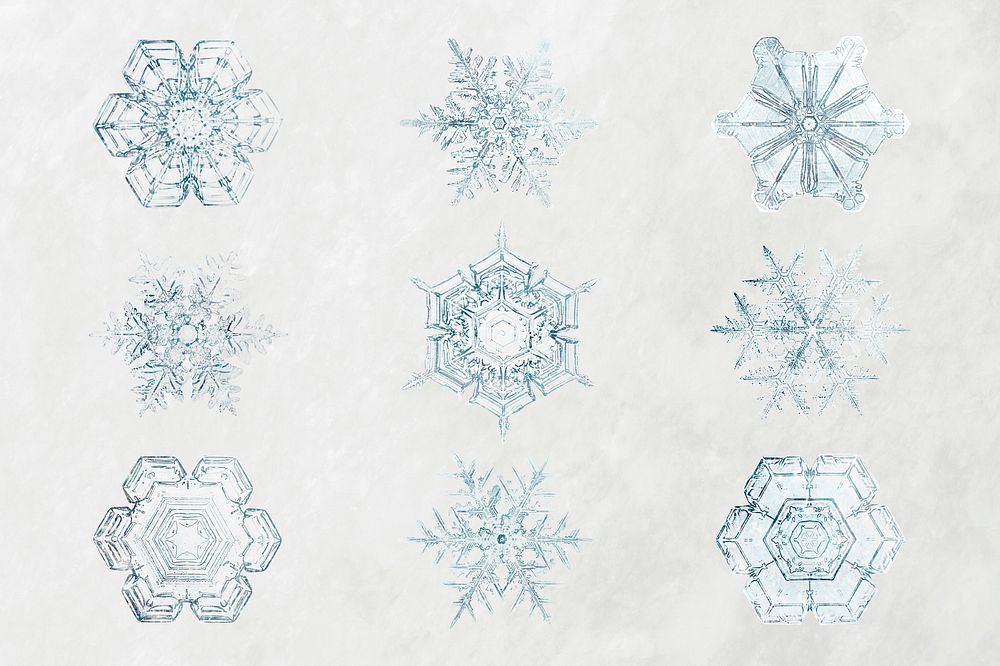 Christmas snowflake psd macro photography, remix of art by Wilson Bentley