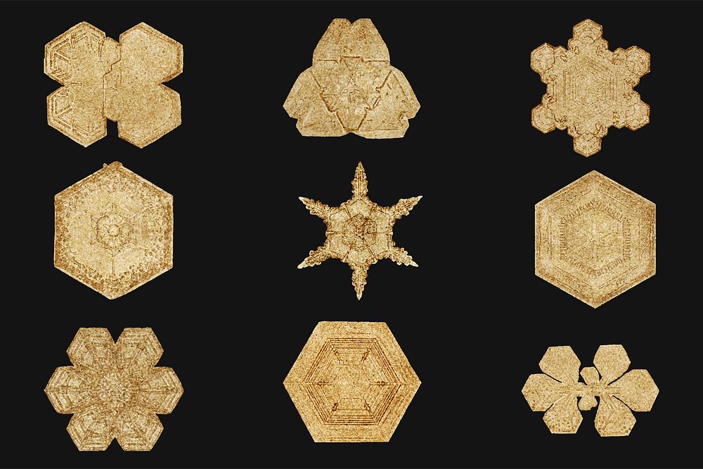 Icy gold snowflake vector set macro photography, remix of art by Wilson Bentley