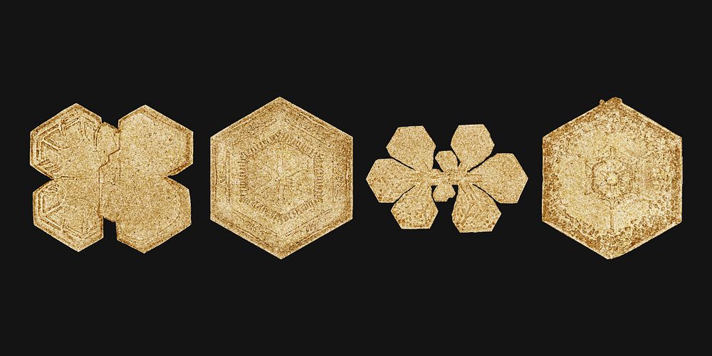Christmas gold snowflake vector set macro photography, remix of art by Wilson Bentley