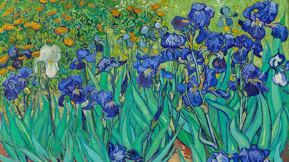 Van Gogh art wallpaper, desktop background, Irises
