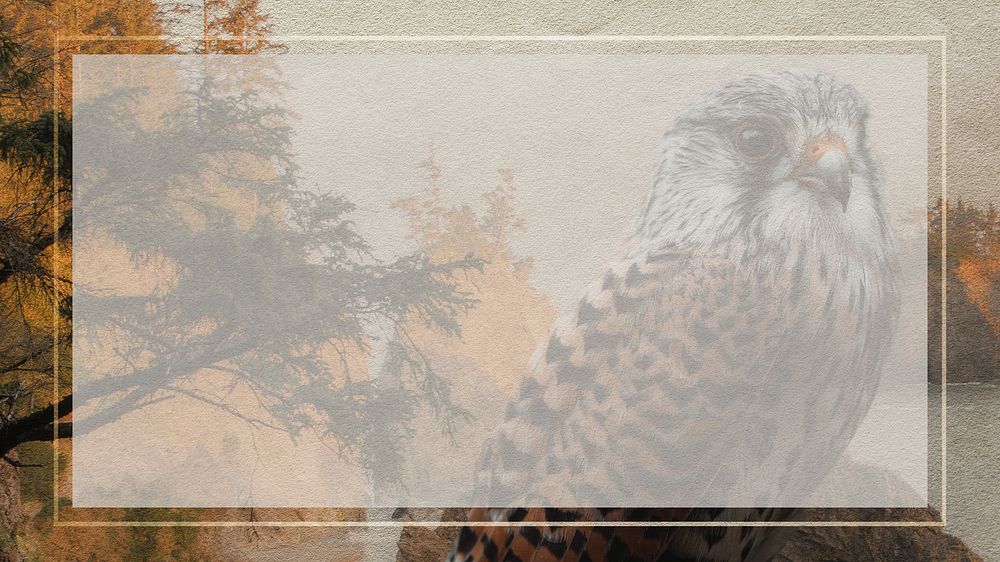 Blank frame with a hawk and the west coast background mockup