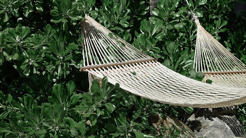 Empty hammock by a tree