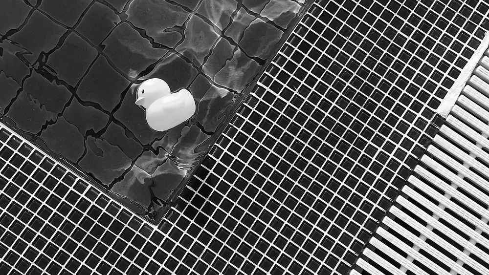 Black and white rubber duck floating on the pool