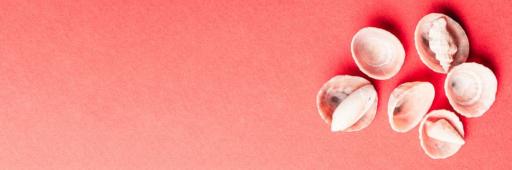 Natural seashells isolated on red background