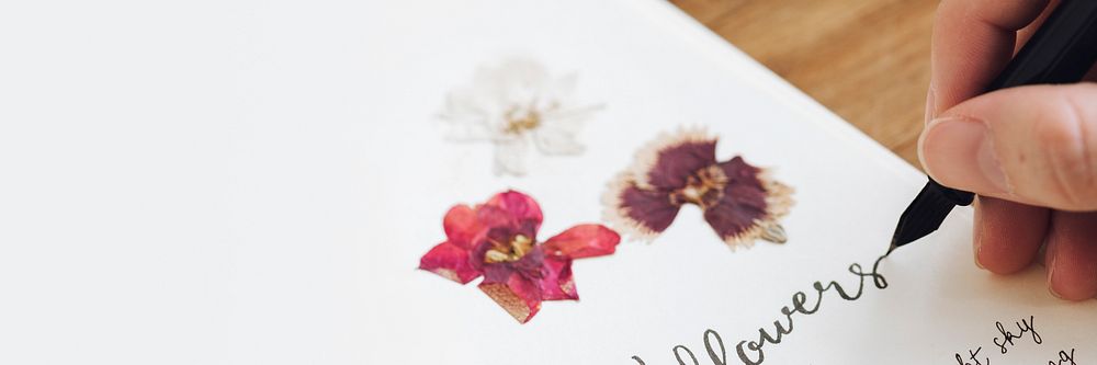 Dried flowers in a spring flowers diary