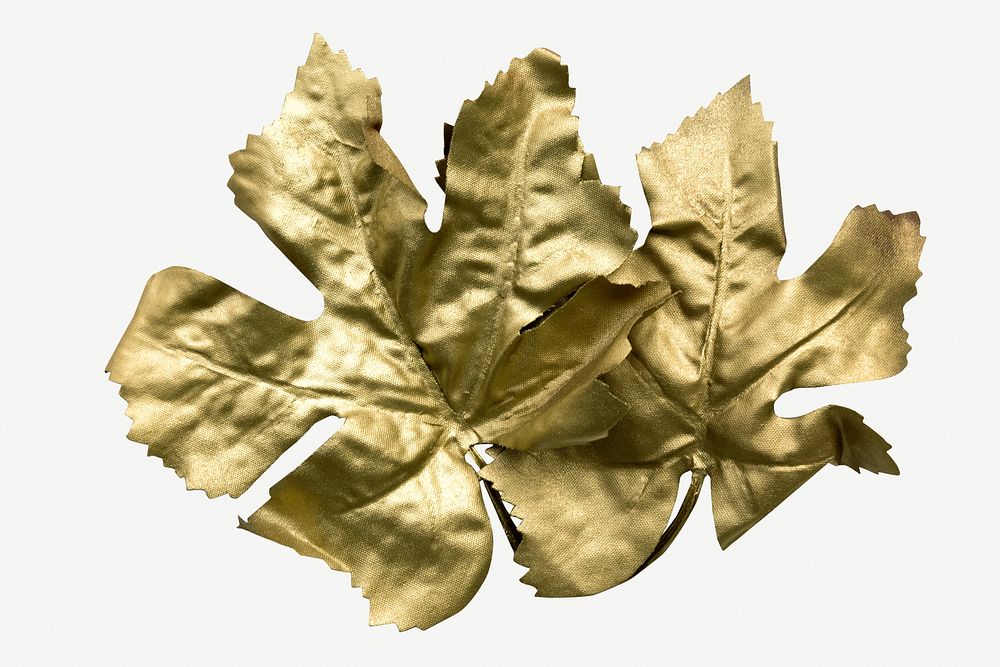 Shiny golden Maple leaves isolated on background mockup