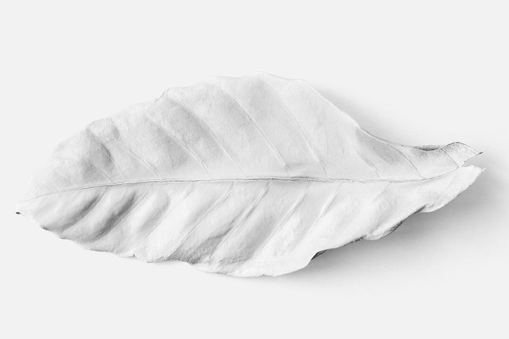 Leaf painted in white mockup on an off white background