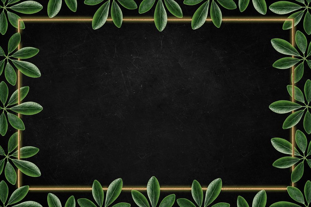 Green leaves with golden rectangle frame on black background