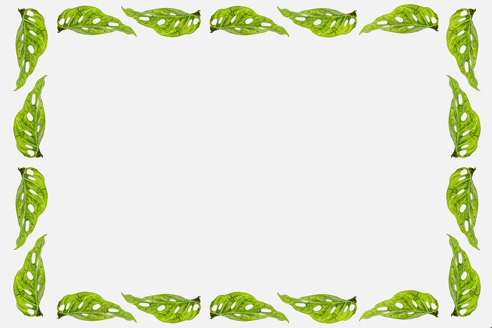 Green leaves rectangle frame on off white background