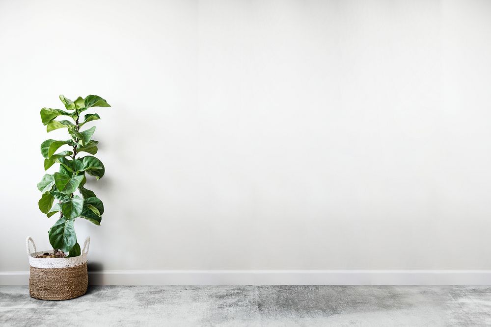 White empty room with a plant wall mockup