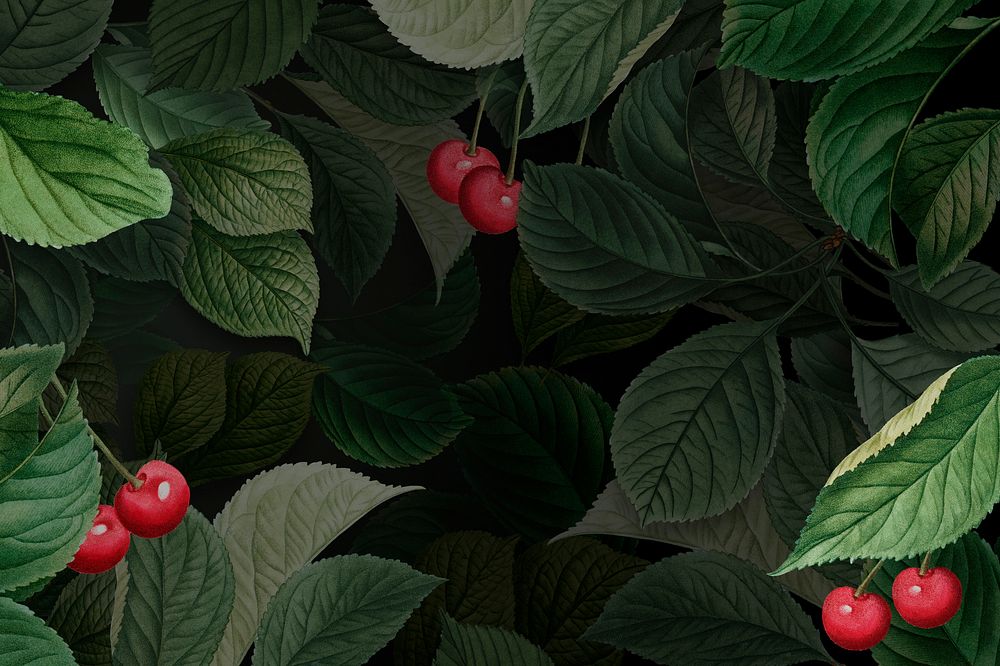 Hand drawn cherry patterned background illustration