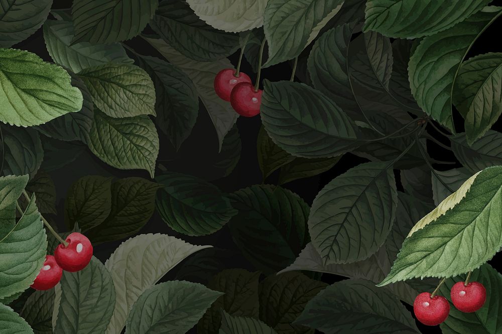 Hand drawn cherry patterned background vector