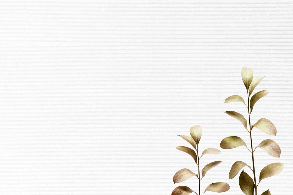 Eucalyptus pattern on white background template vector