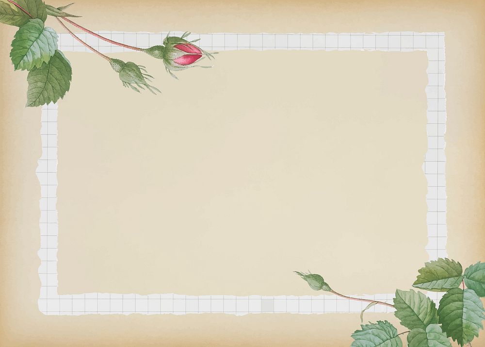 Double moss rose with grid frame on beige background vector