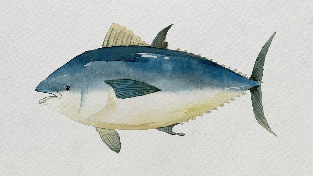 Watercolor painted tuna on white canvas template