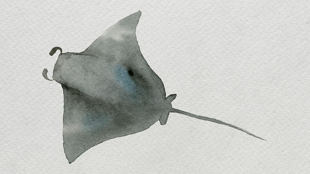 Watercolor painted manta ray on white canvas template