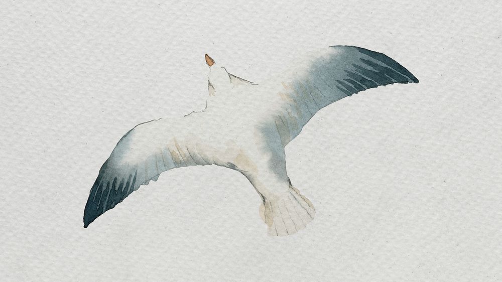 Watercolor painted seagull on white canvas template