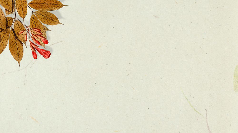 Leaves and flower on beige background