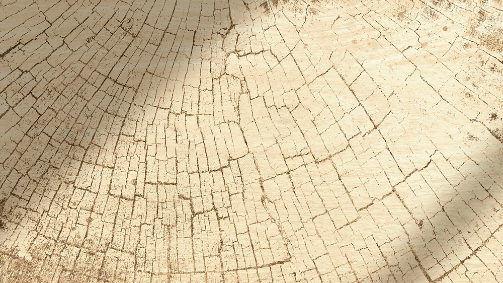 Tree rings textured blog banner background