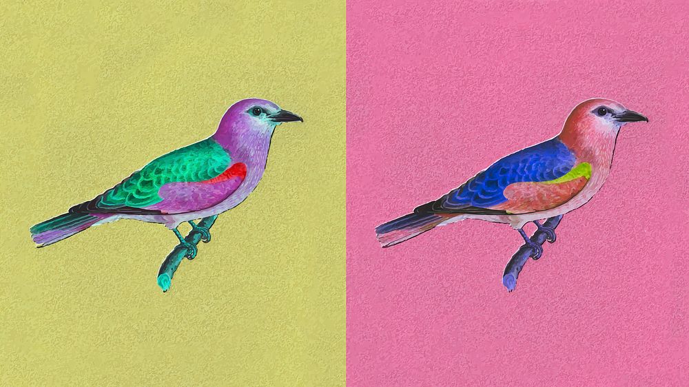 European roller bird vintage illustration vector, remix from original artwork.
