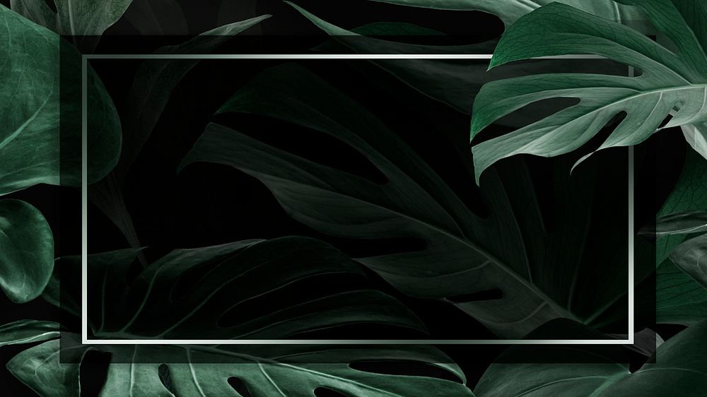 Rectangle frame with green monstera leaves background