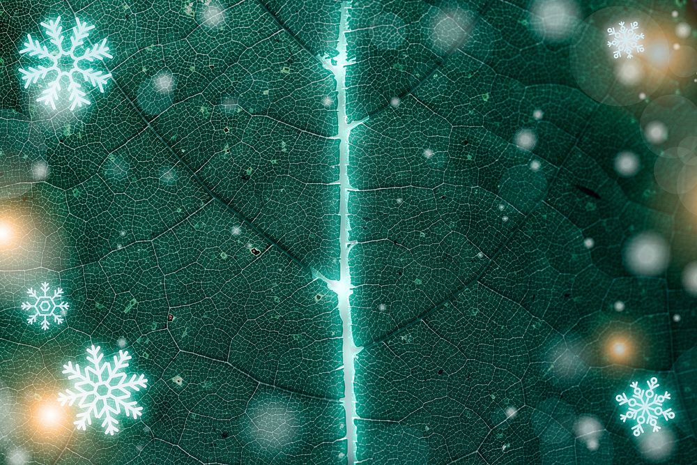 Green leaf pattern textured backdrop