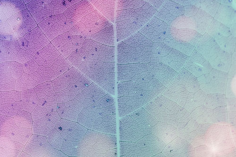 Purple leaf pattern textured backdrop