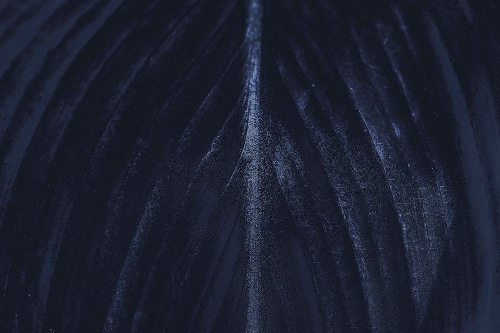 Dark blue leaf pattern textured backdrop