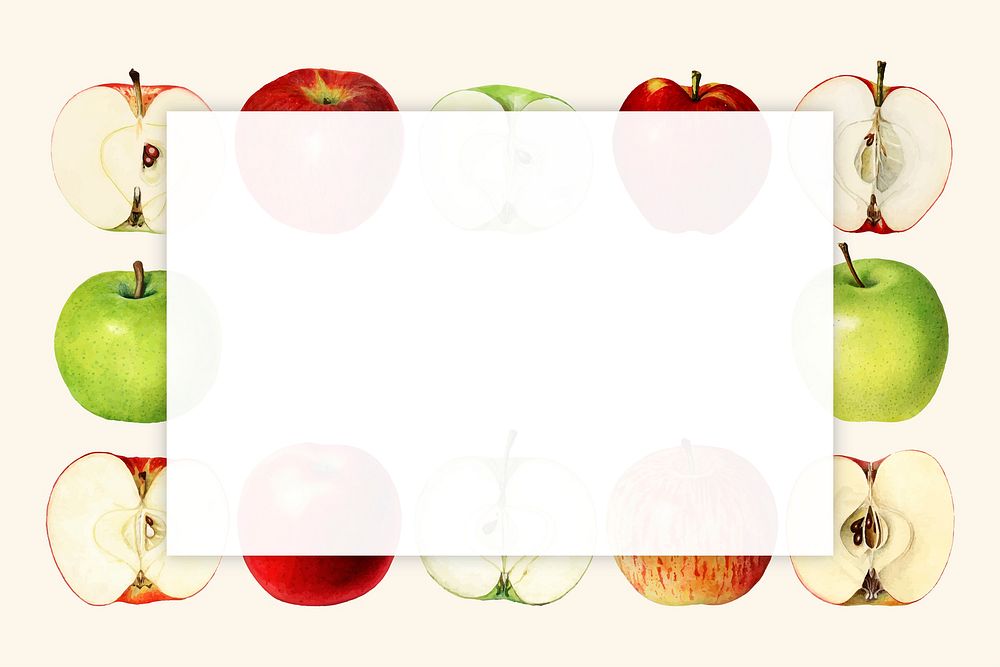 Hand drawn fresh apples frame with copy space vector