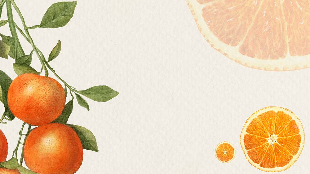 Hand drawn natural fresh orange patternd fr