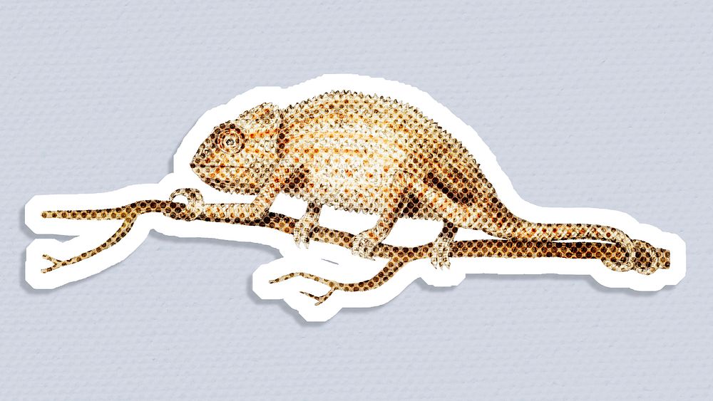 Halftone chameleon sticker  with a white border