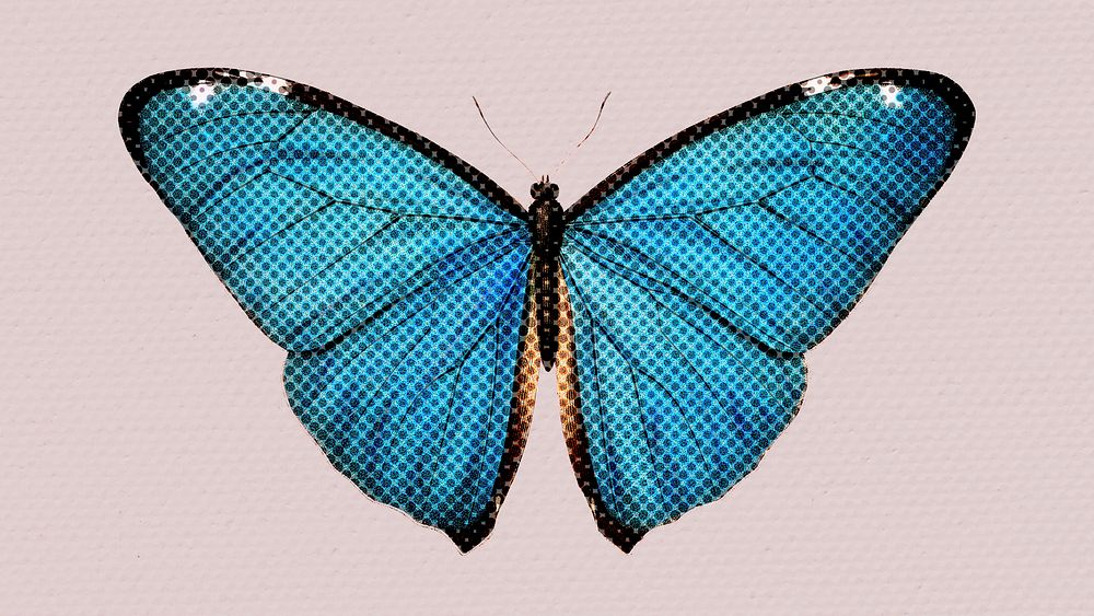 Halftone common blue butterfly sticker design element