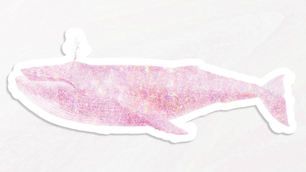Pink holographic humpback whale  sticker with a white border